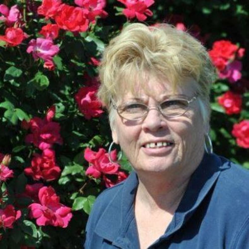 Meet your Posher, Carol